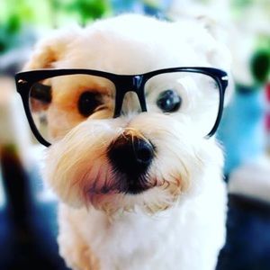 Meet your Posher, Enkela